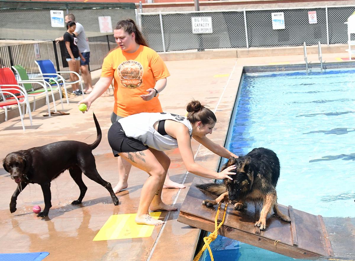 PoolDogs1_CRjpg.jpg