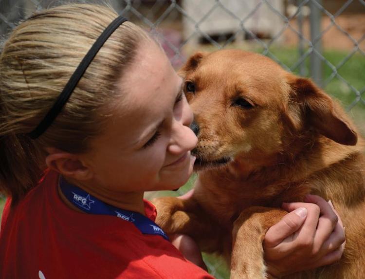Dogs For Sale In Enid Ok