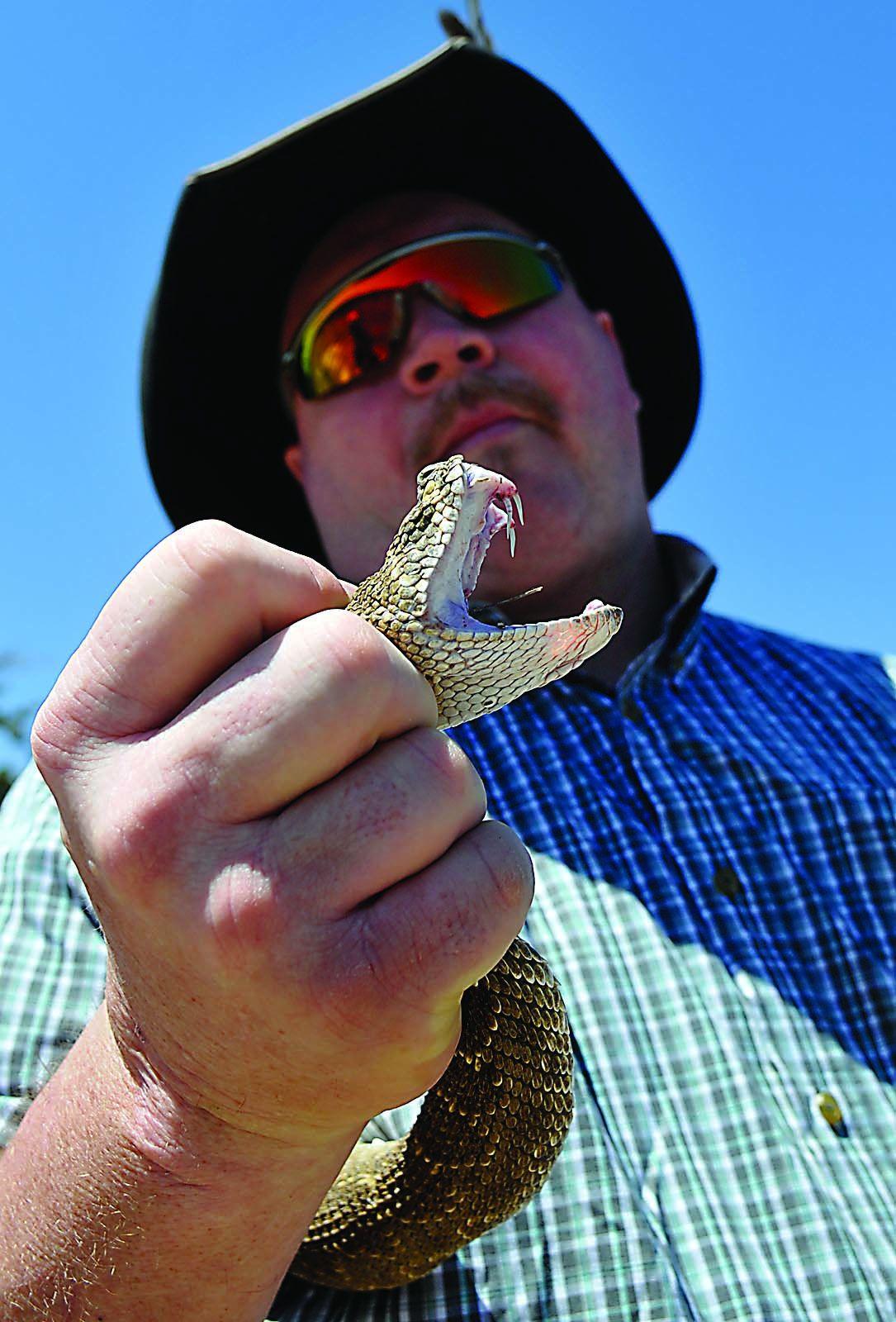76th annual Okeene Rattlesnake Hunt takes place this weekend News