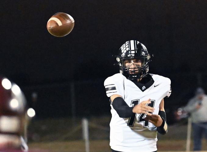 ROUNDUP Panthers hold off Pioneer 2622 Sports