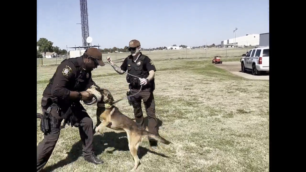 Meet Garfield County K9 Doc