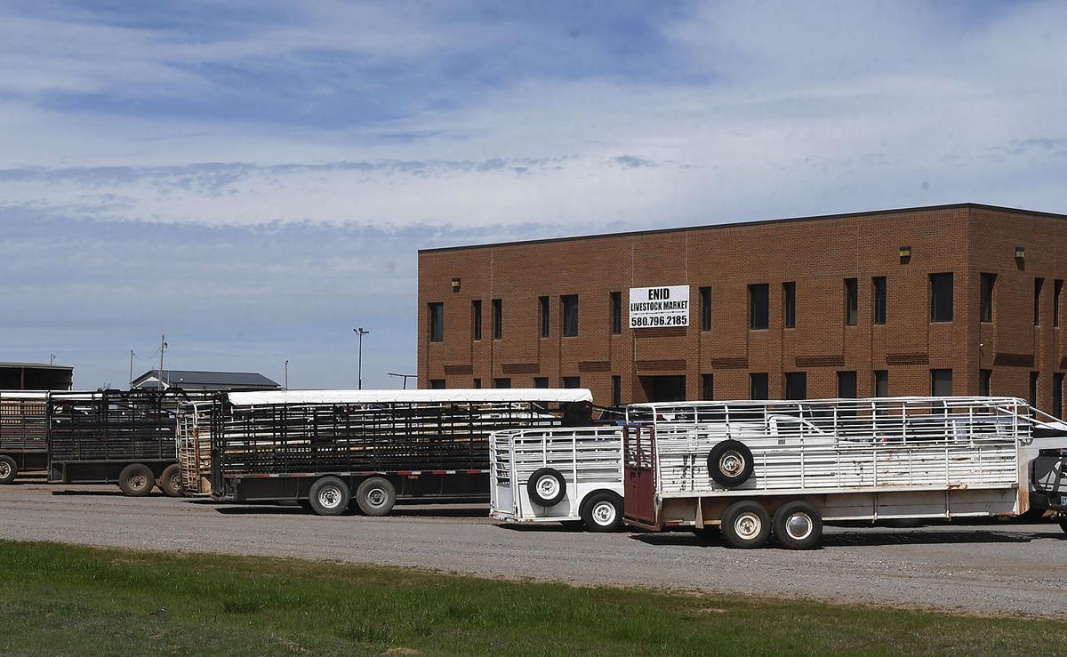 2020 VISION Enid Livestock Market seeing millions in cattle sales