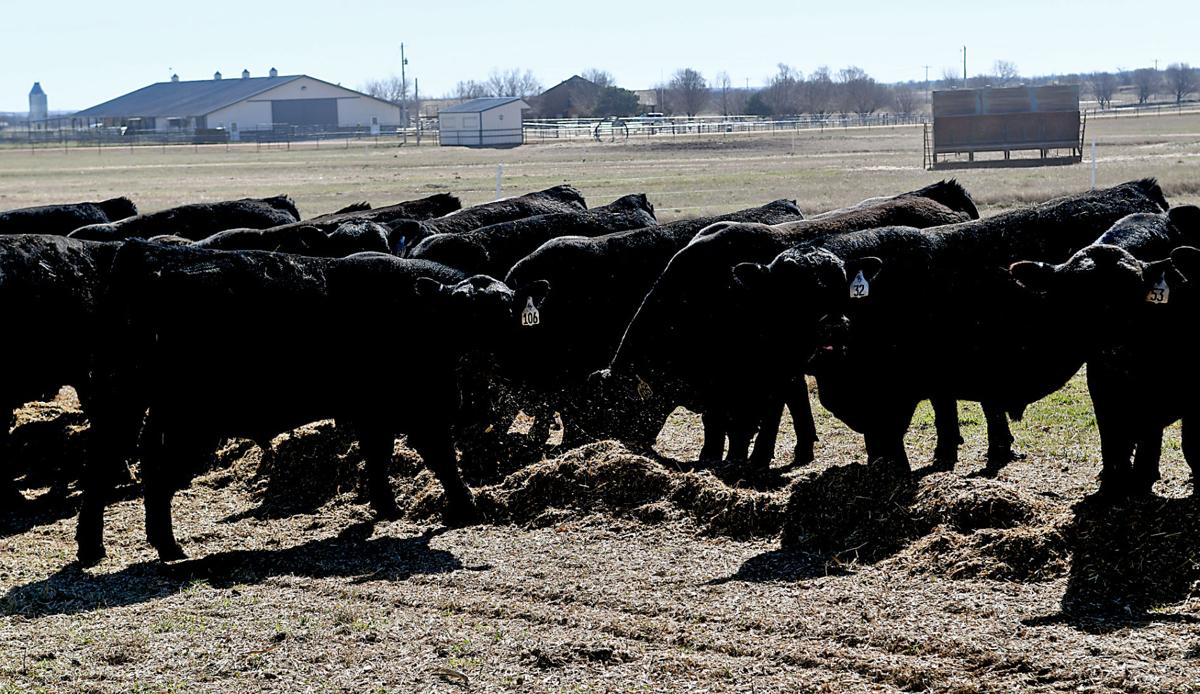 Pollard Farms has operation down to a science Progress