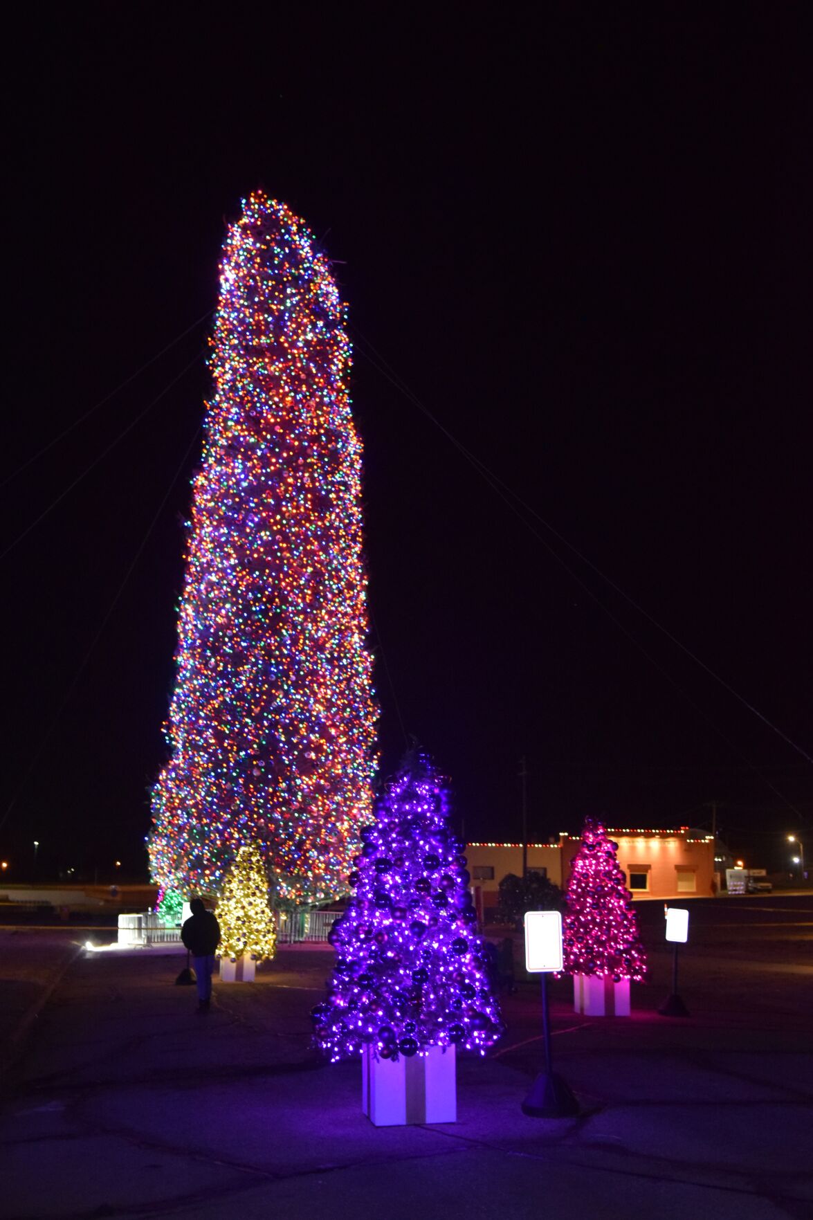 Tallest on sale christmas tree