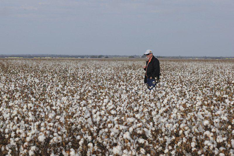 Court Ruling Makes Timing Critical Ag Energy Enidnews Com