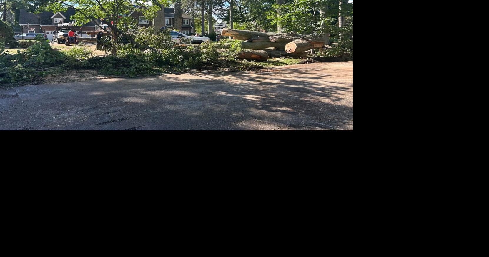 Tree Removal Crews Work to Clean Up After Wednesday's Storms