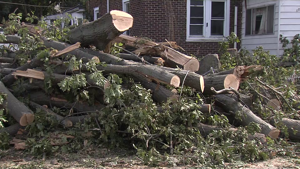 Volunteers Continue Storm Recovery Efforts in Erie