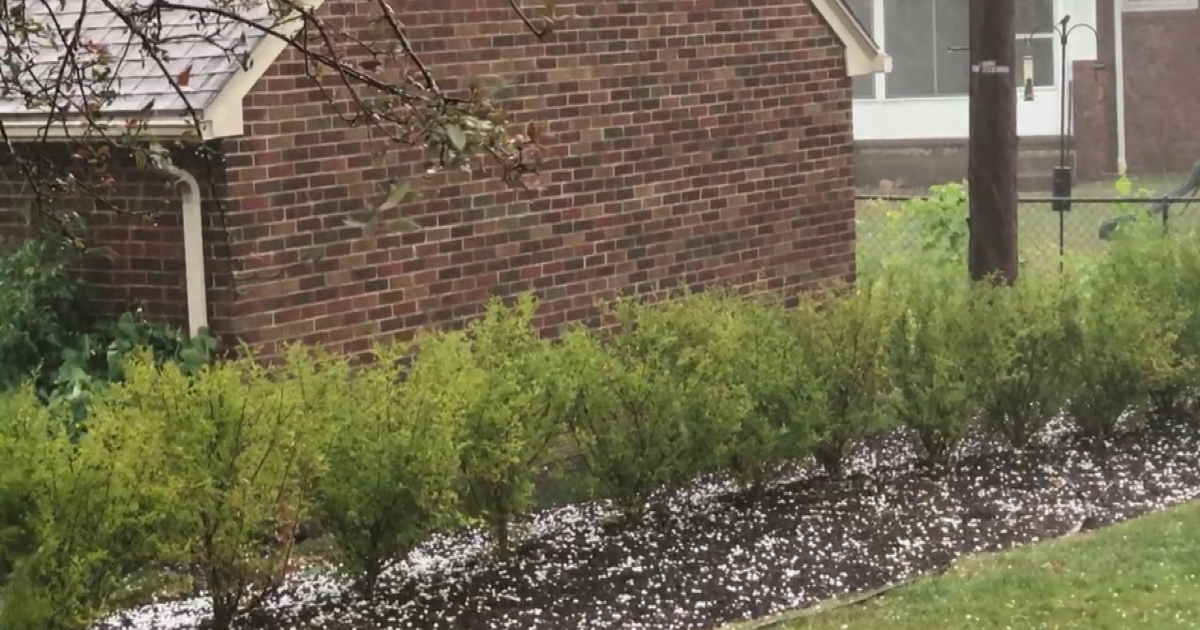 Summer Storm Brings Hail and Damaging Winds Across Erie Area