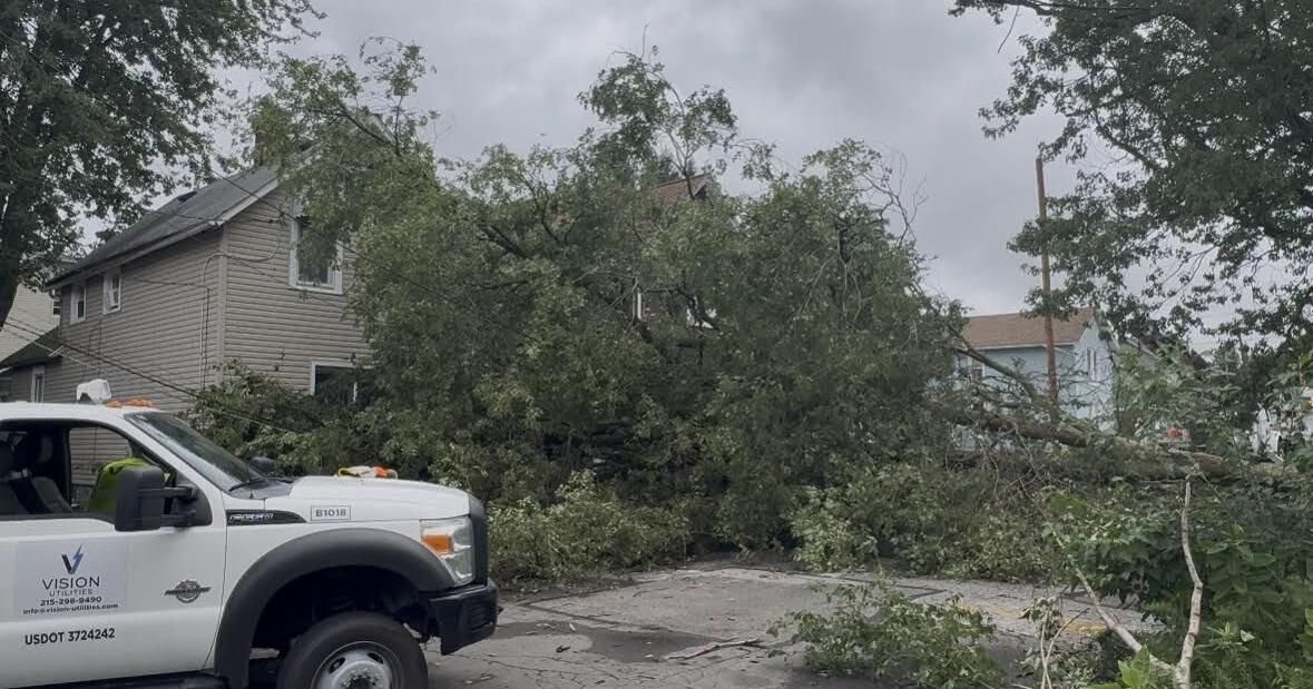 Residents Seek Answers After Storm-Damaged Tree Remains on McCarter Avenue