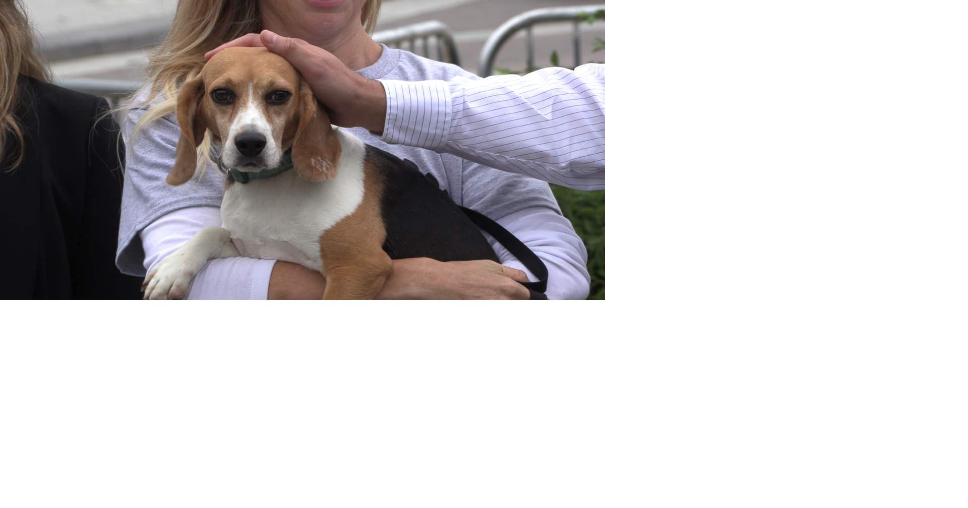 A New Leash on “Outdated” Research and Practices: Bipartisan Bill Targets Dog and Cat Testing 