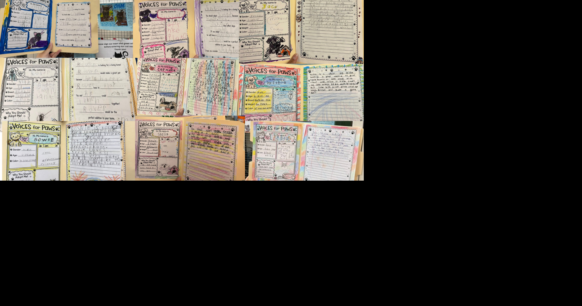 Fairview Students Write Letters to Help Shelter Pets | News ...