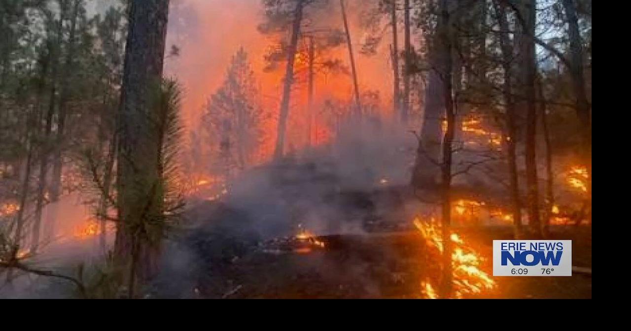 Two Local Men Battle Wildfires in Minneapolis for Two Weeks