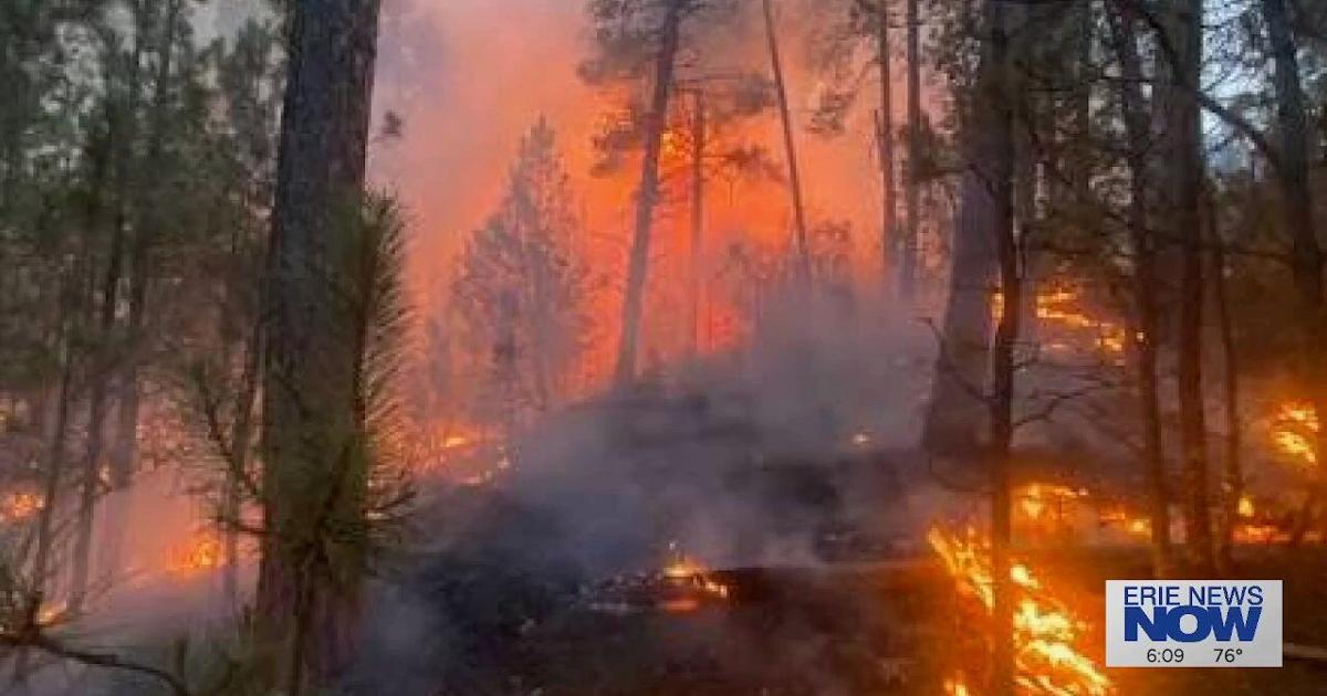 Two Local Men Battle Wildfires in Minneapolis for Two Weeks