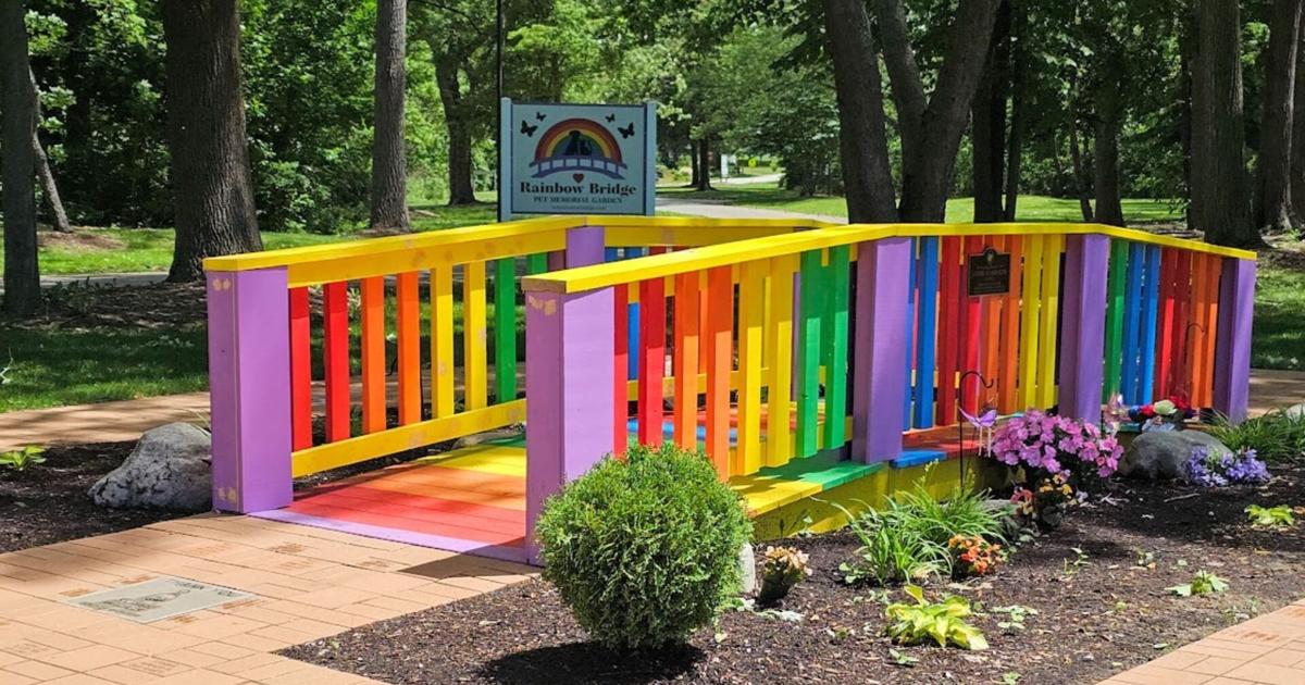 Rainbow Bridge Event To Honor Beloved Pets And Aimee s Story News rainbow-bridge-event-to-honor-beloved-pets-and-aimee-s-story-news