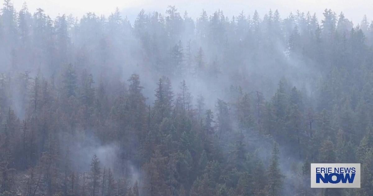 Thunder Bay Fire Chief Dave Tarini Discusses Wildfires North of the Border