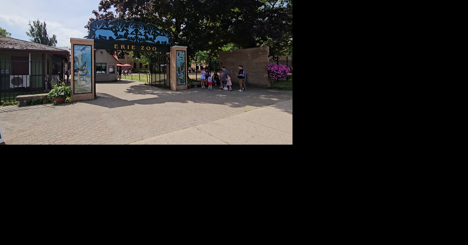 Erie Zoo Remains Open Despite Storms and Fallen Debris