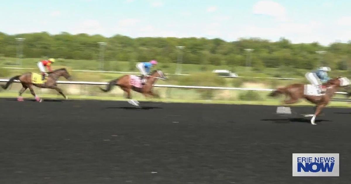 What Do You Want to See at Presque Isle Downs & Casino?