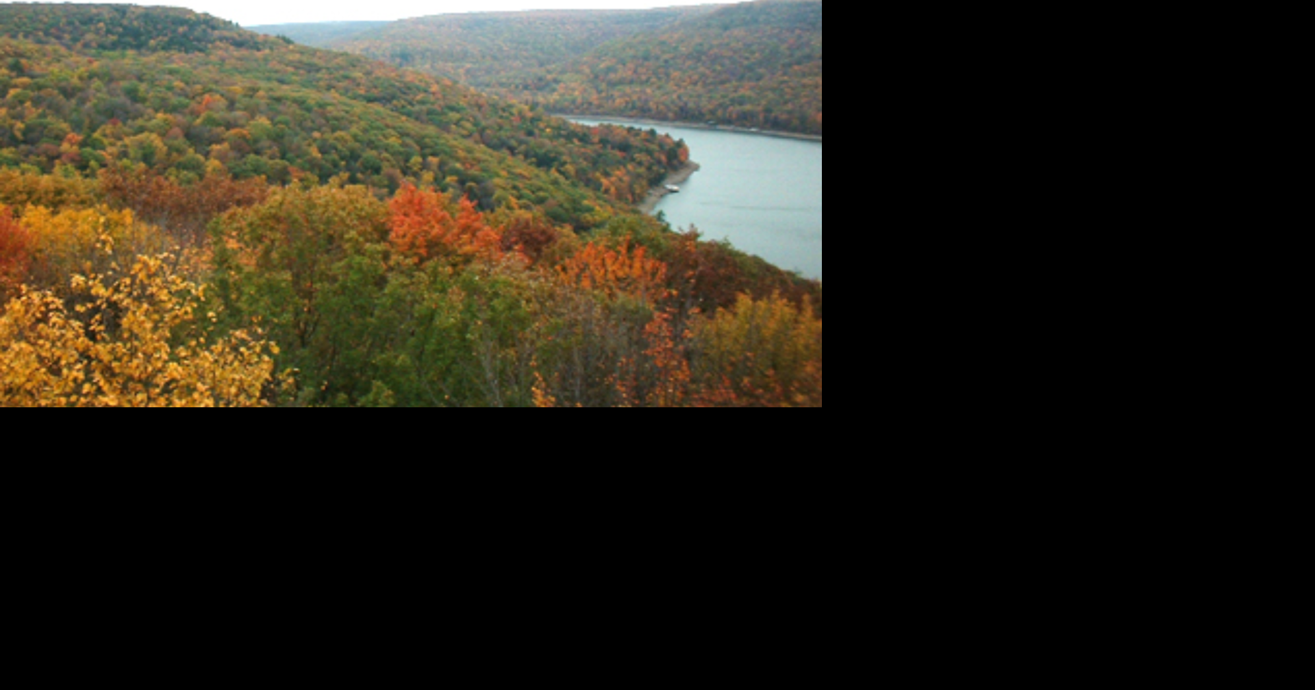 Warren Forest Service to Elevate Allegheny National Forest | News ...