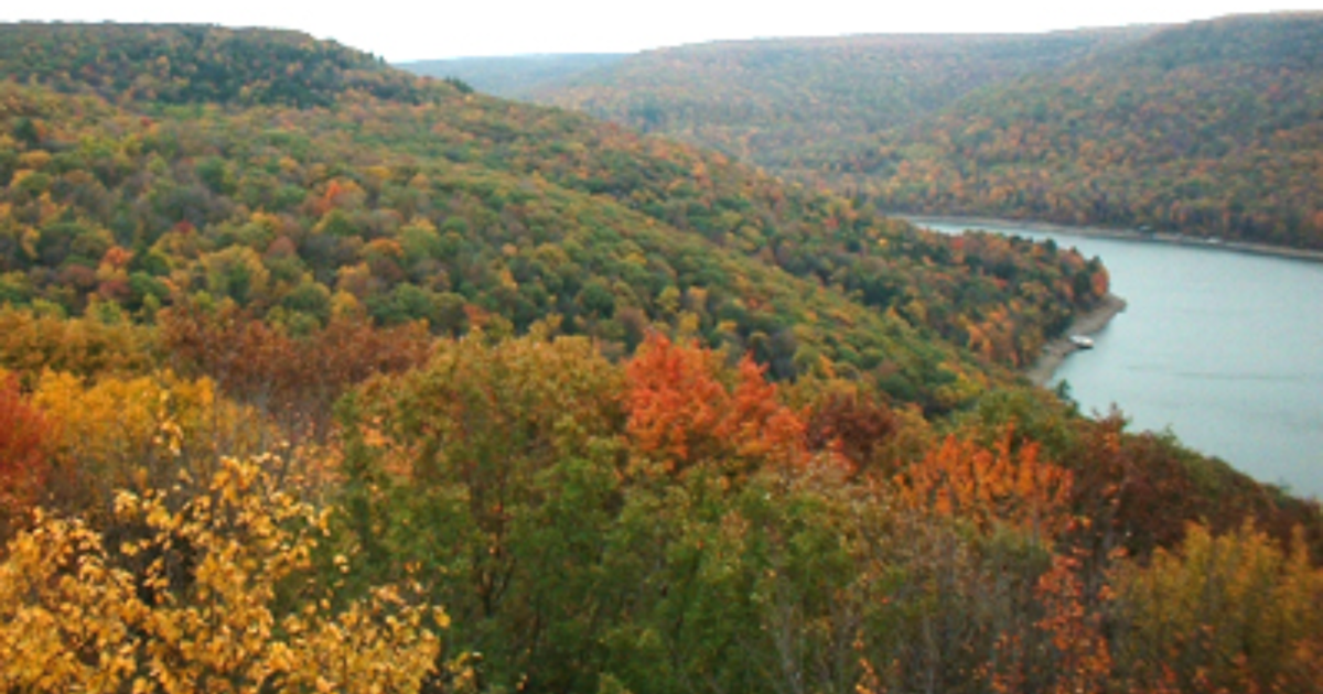 Warren Usfs Warren Forest Service to Elevate Allegheny National Forest | News ...