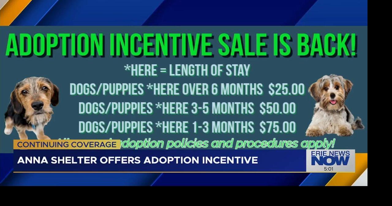 ANNA Shelter Offers Adoption Incentive | Latest Video | erienewsnow.com