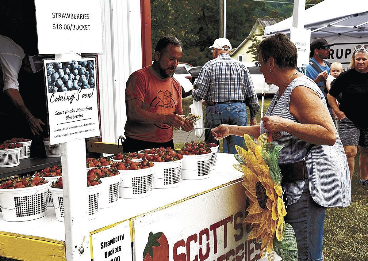 Strawberry Festival returns to Unicoi on May 21 News