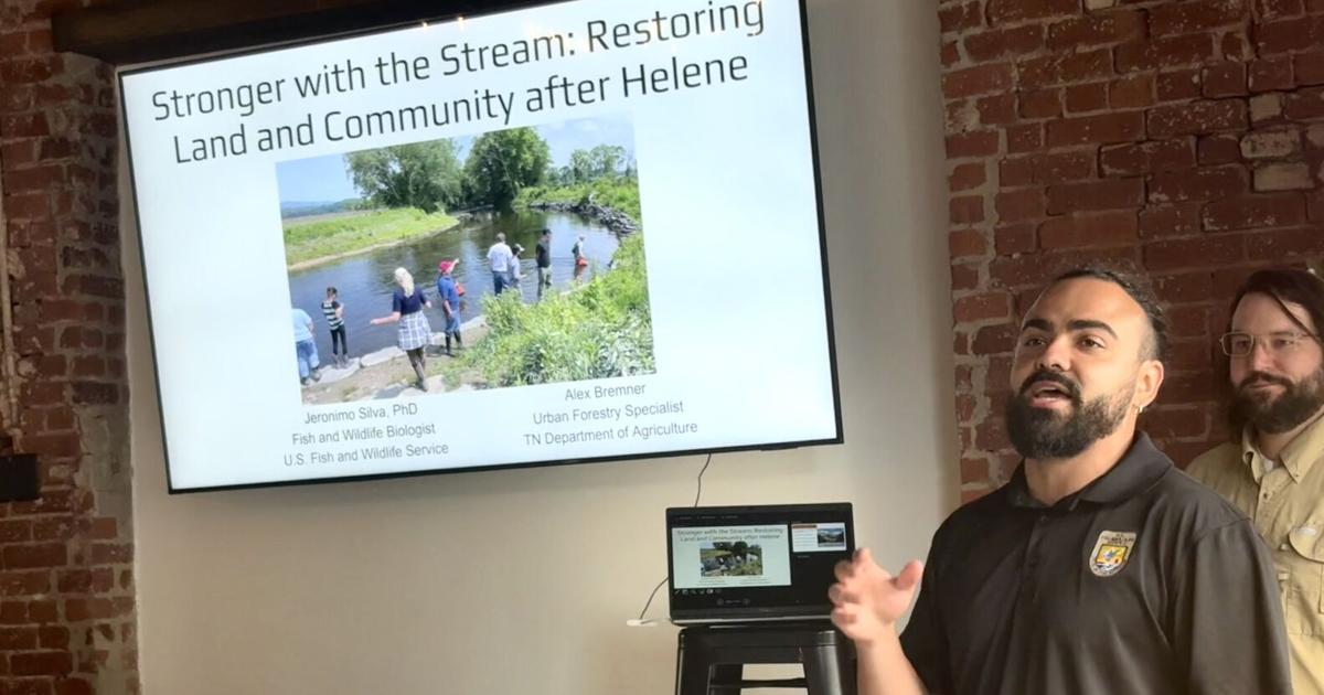 NORA leads Nolichucky bank stabilization, wildlife recovery