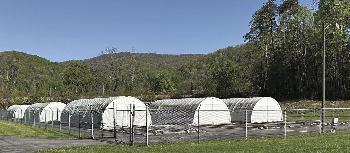 Erwin National Fish Hatchery sets open house for May 11 Living