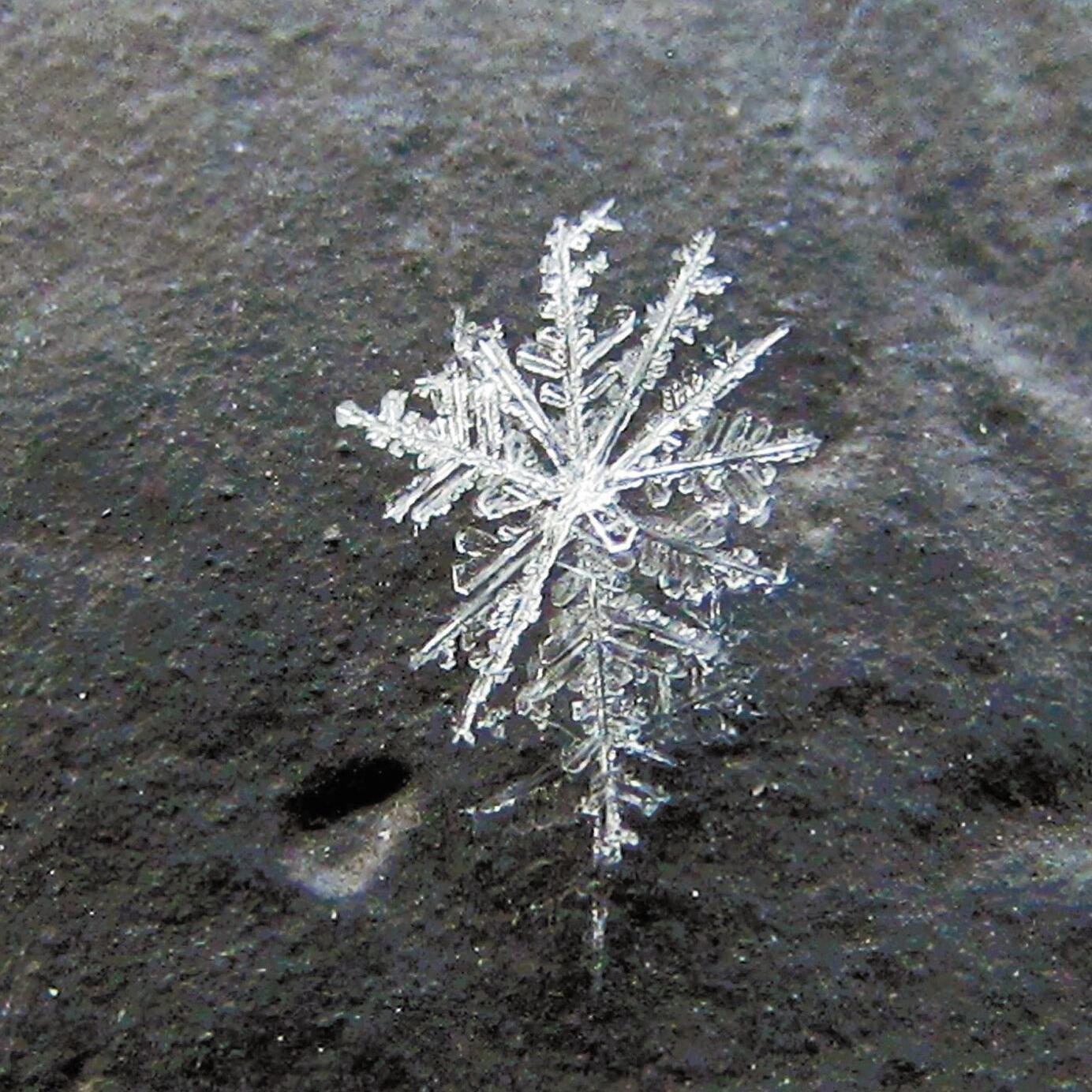 Snowflake quest: Erwin woman points lens toward winter's wonders | Community News Snowflake quest: Erwin woman points lens toward winter's wonders | Community News