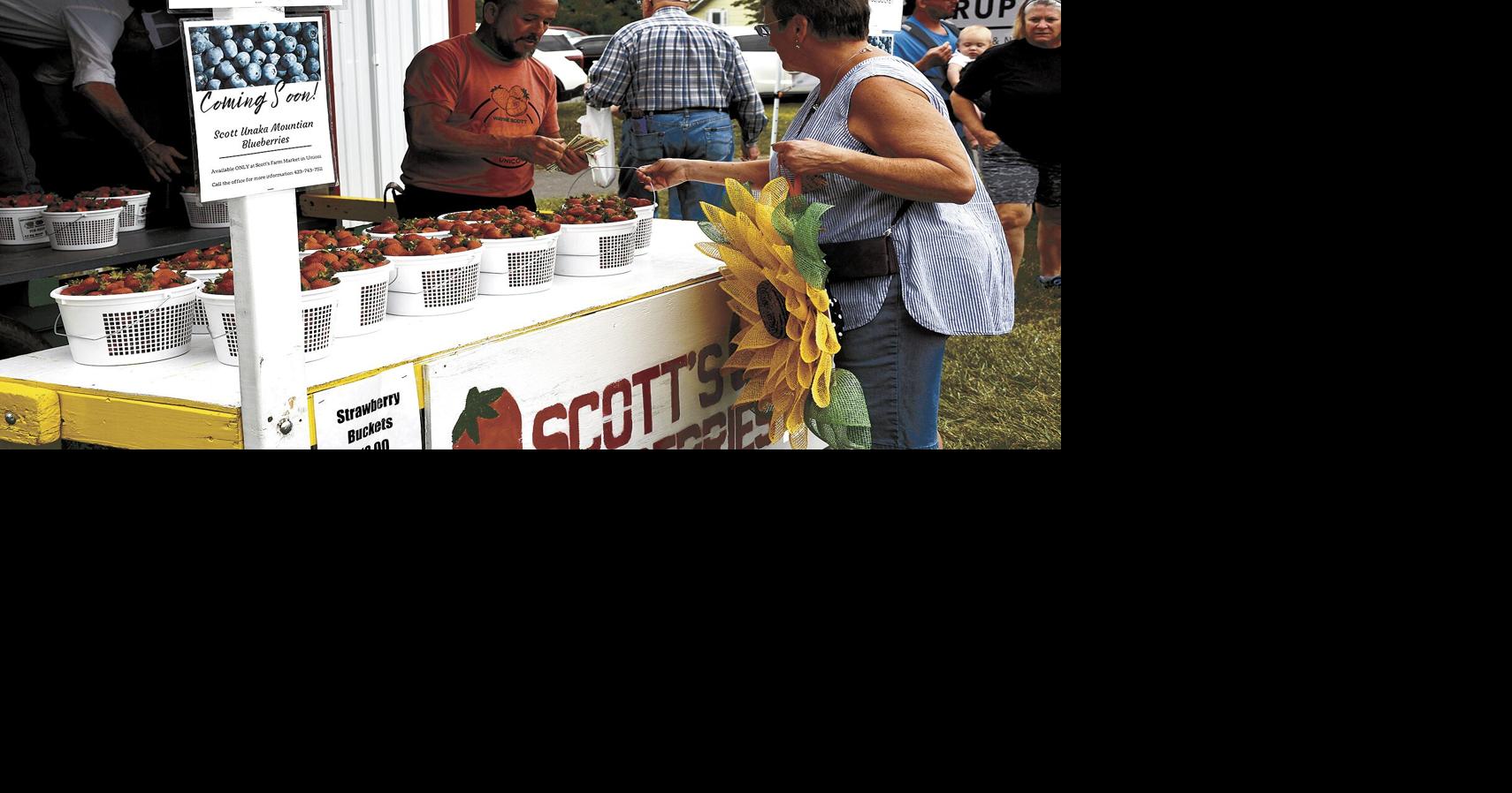 Strawberry Festival delivers bushels of fun and berries Community News