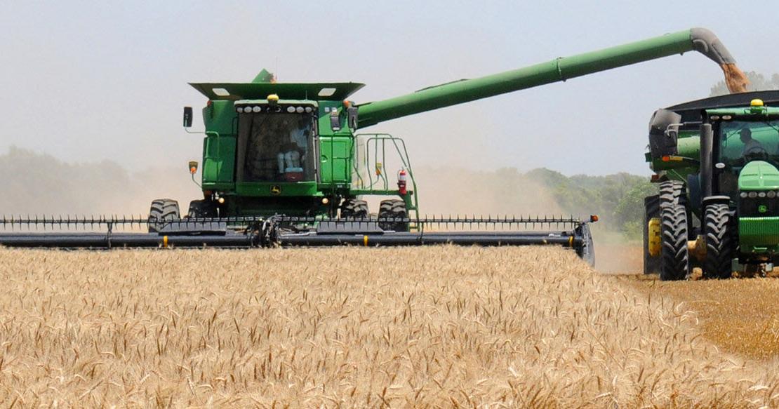 Kansas wheat growers urged to scout for rust as spring conditions shift risk