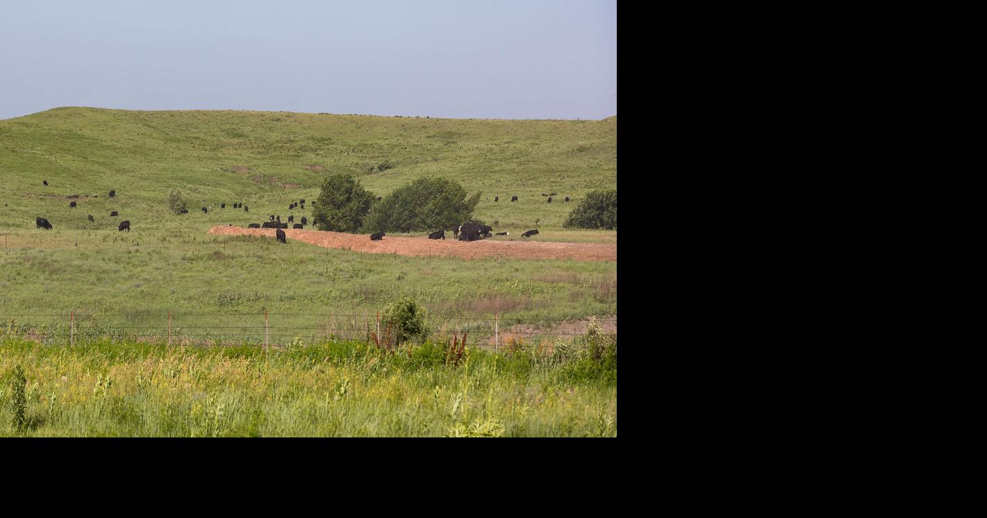 Kansas land values reflect stability
