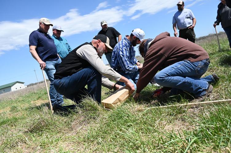 Selecting the best cool season forages to regrow pastureland in 2024 ...