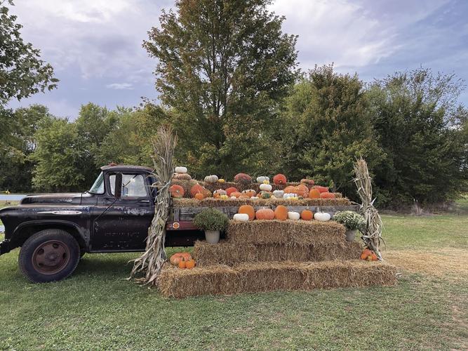 McGarrah Farms feeds Northwest Arkansas for nearly 200 years News