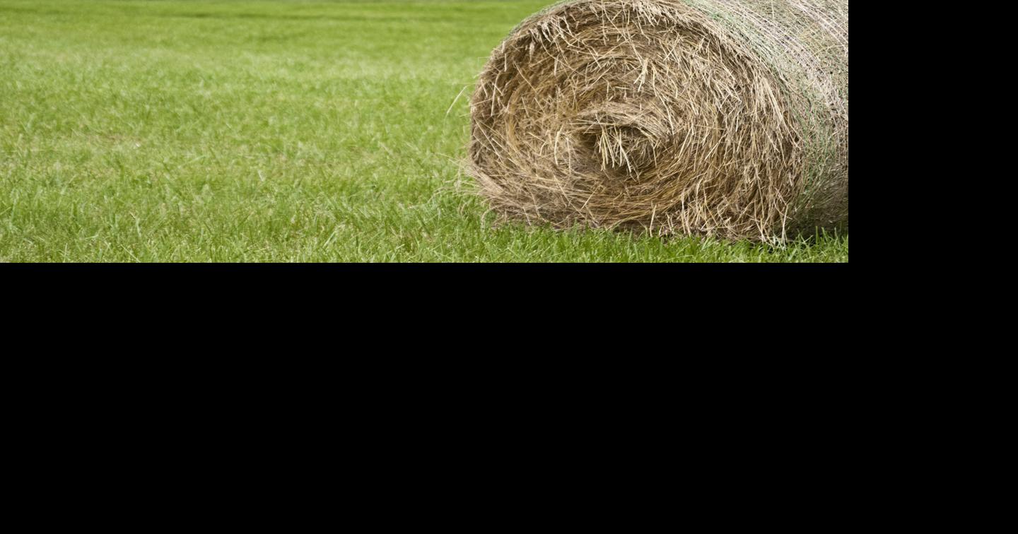 Kansas Hay Market News