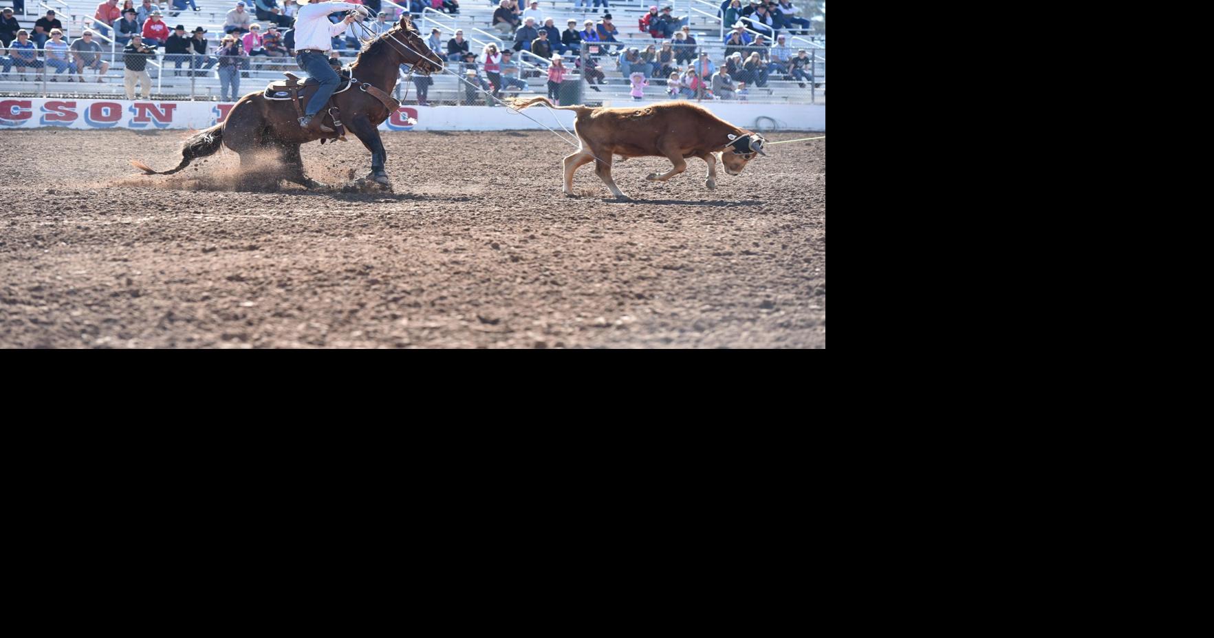 AQHA/PRCA Horses of the Year announced News