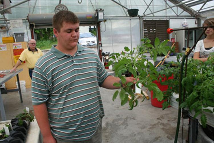 A growing experience in agriculture News