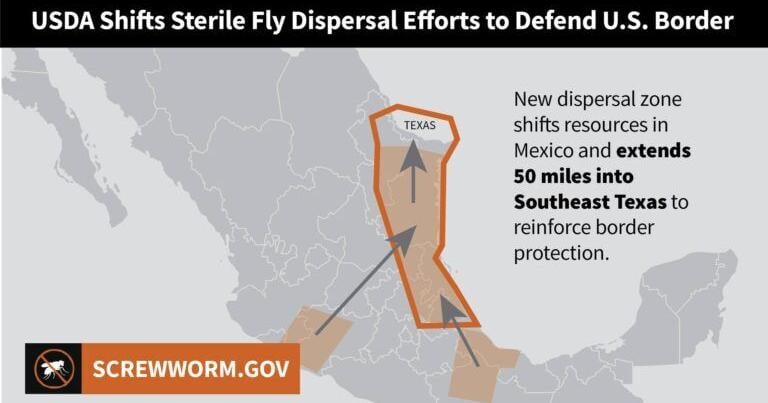 USDA to release sterile Screwworm flies in Texas