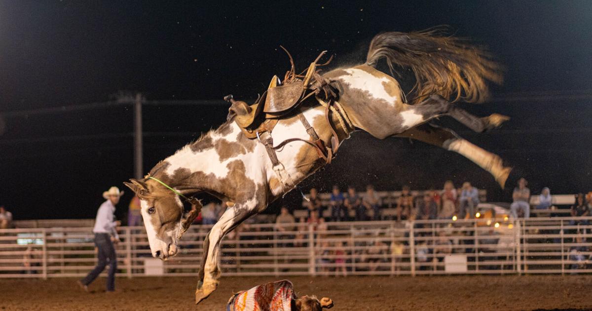 Guchi Rodeo 2025 Chanute Rodeo 2025 | News | farmtalknews.com