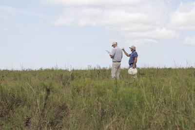 Wolf Creek Research