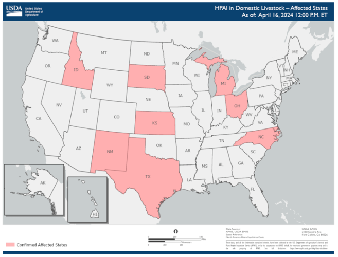 Bird flu detected in cattle in eight states News