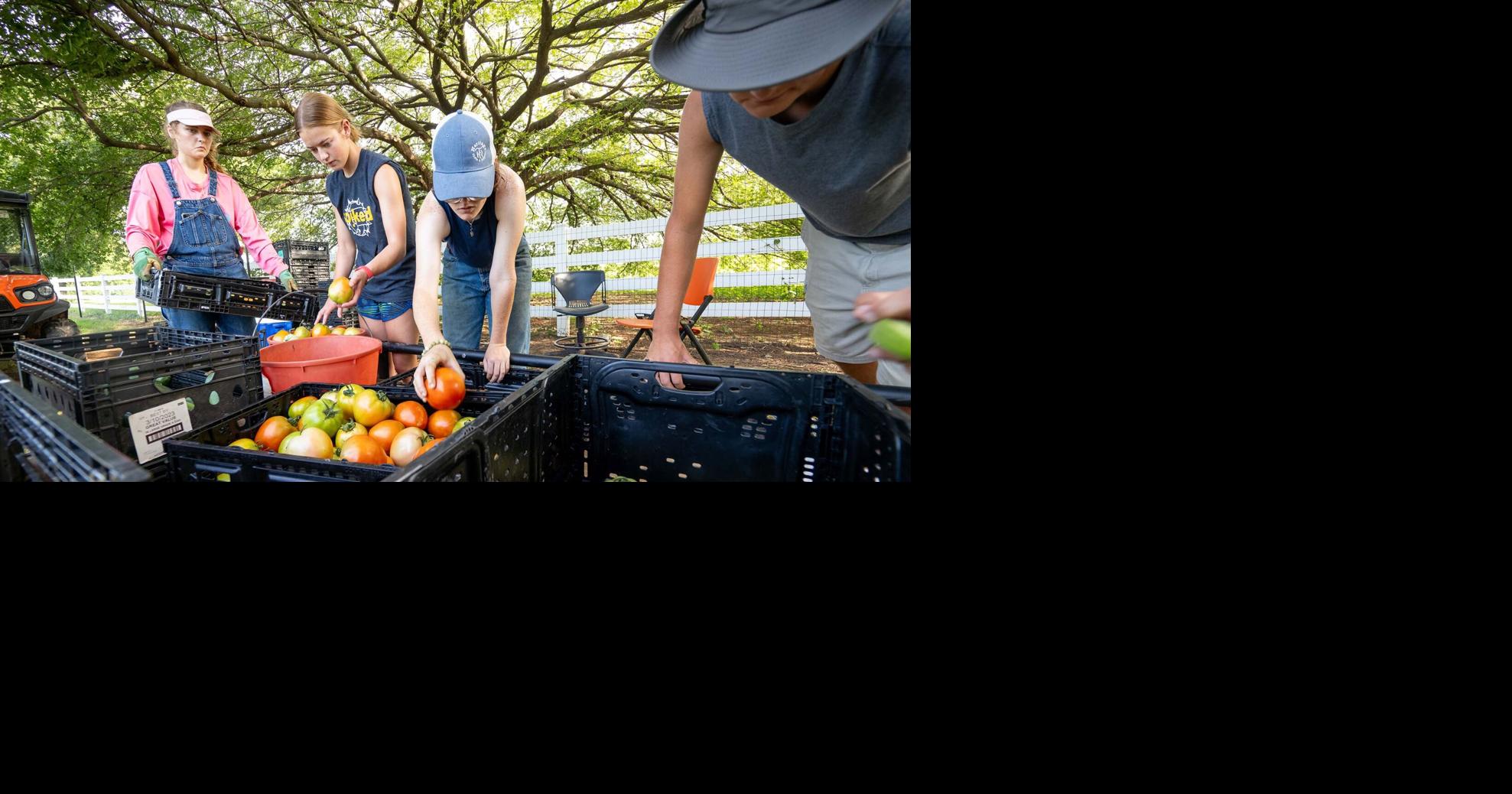 OSU Student Farm helps bridge the gap of food insecurity | News ...
