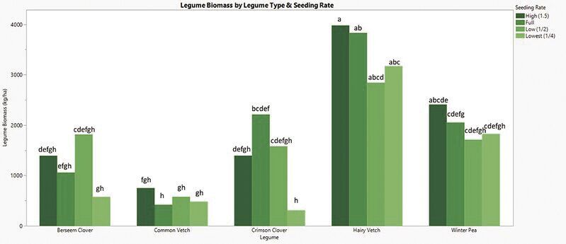 Seeding rates of winter legumes