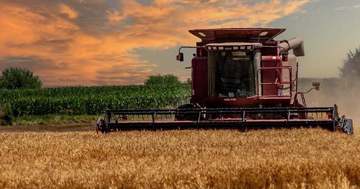 Kansas Wheat Tour reveals challenging conditions across the state