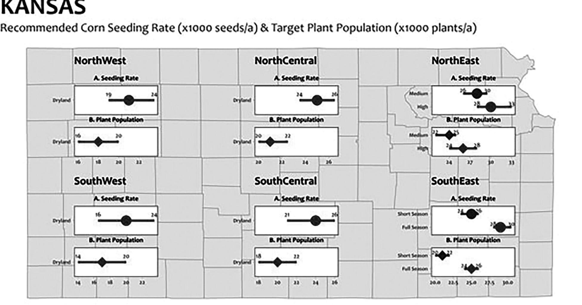 Optimal corn seeding rate recommendations - Vimarsana News