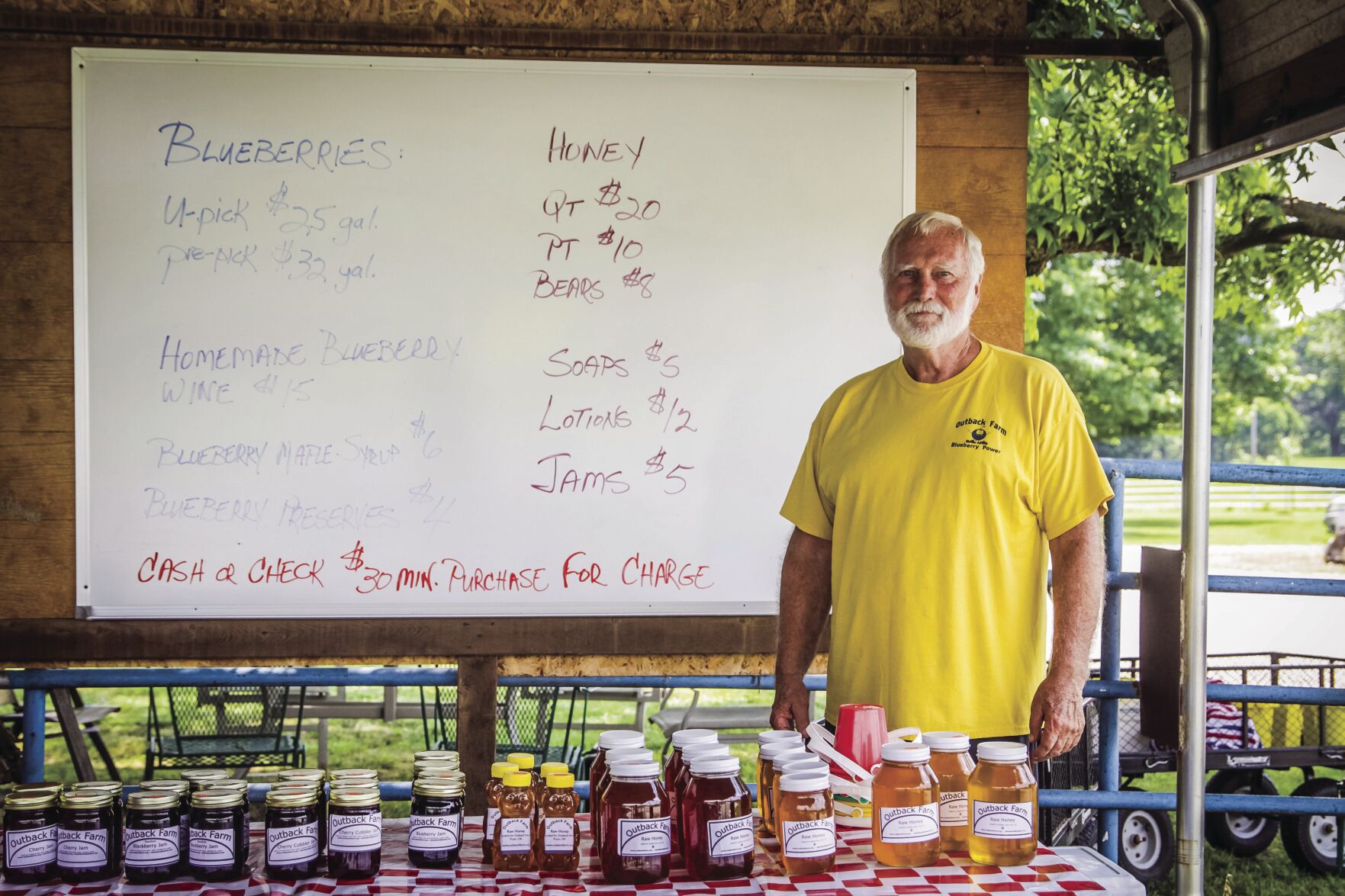 Pryor's Outback Farm takes growing quality blueberries to the next level | News - Vimarsana News