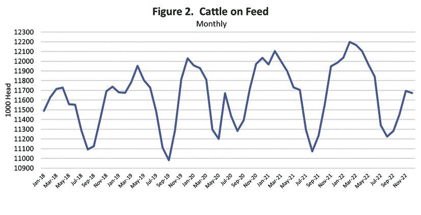 Different feedlot dynamics in 2023 | News | farmtalknews.com