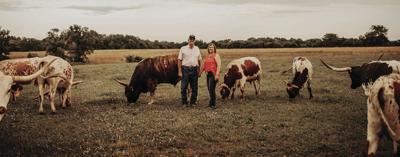 Missouri couple favors flashy colors, quality cattle