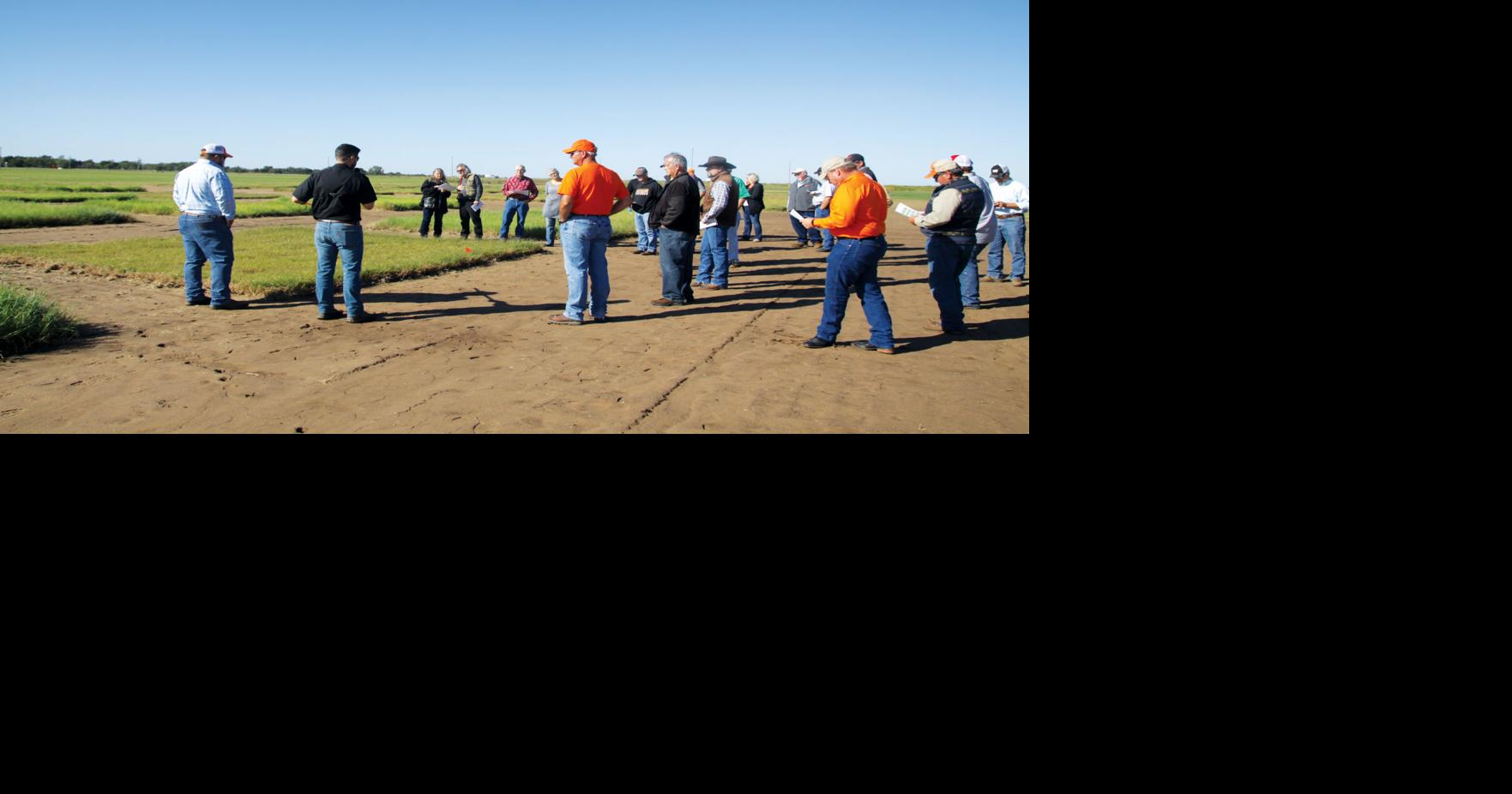 Haskell Field Day explores beef profitability top to bottom News