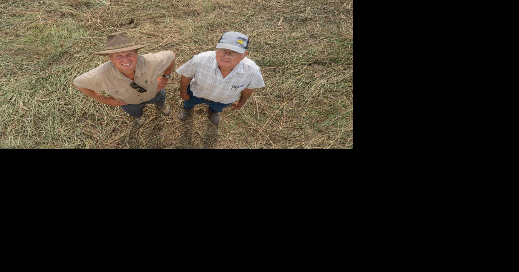 Farming relationships: Locals persist through muddy fields as national corn harvest eclipses records