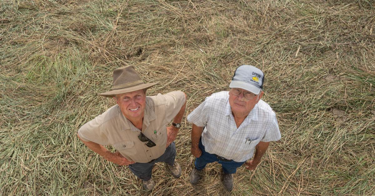 Farming relationships: Locals persist through muddy fields as national corn harvest eclipses records
